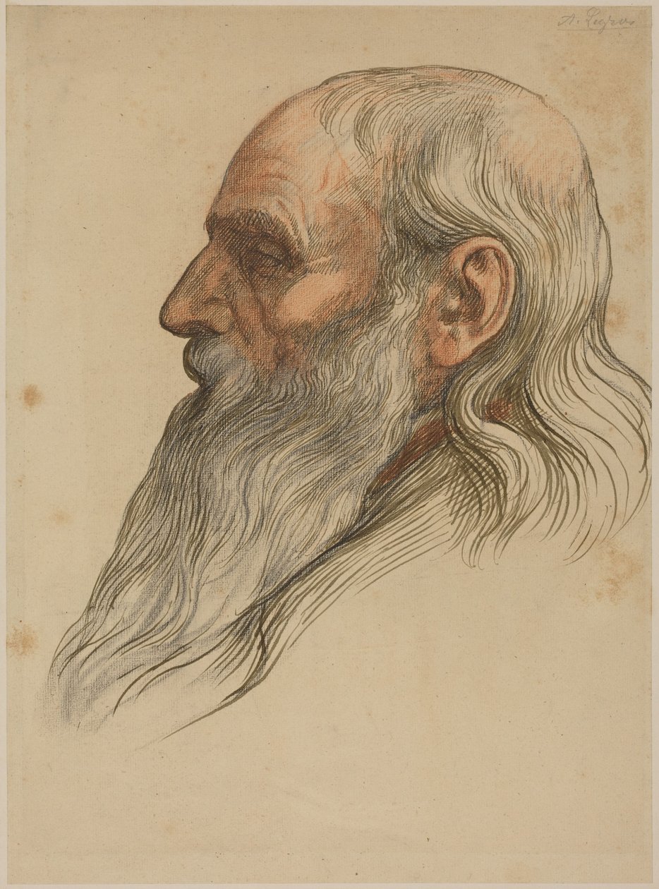 Étude de la tête d