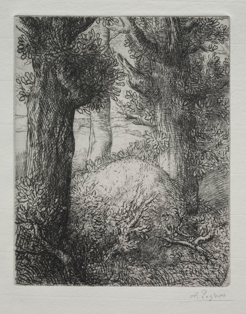 Tumulus gaulois - Alphonse Legros
