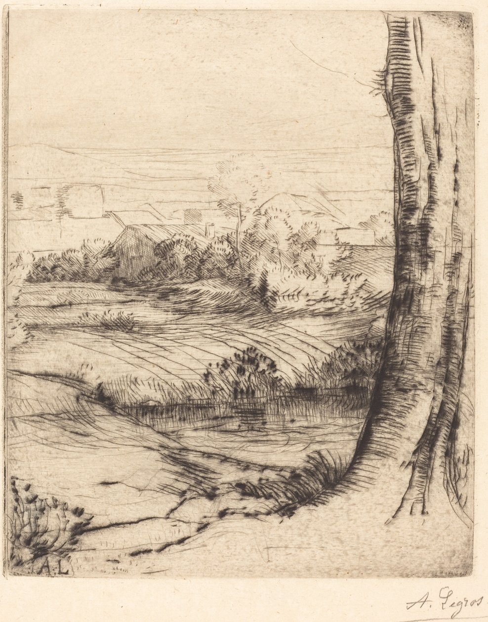 Coin de roseau - Alphonse Legros
