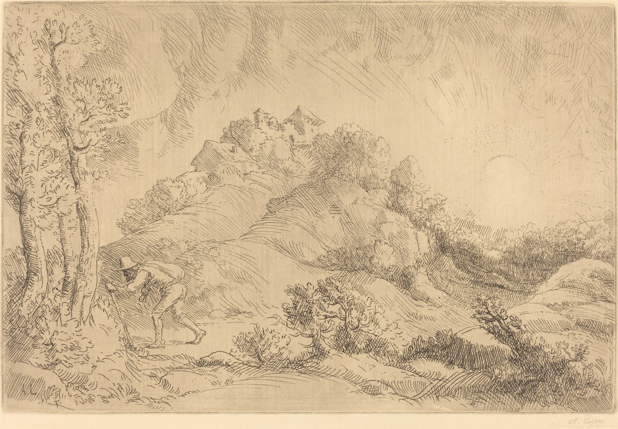 Vue d