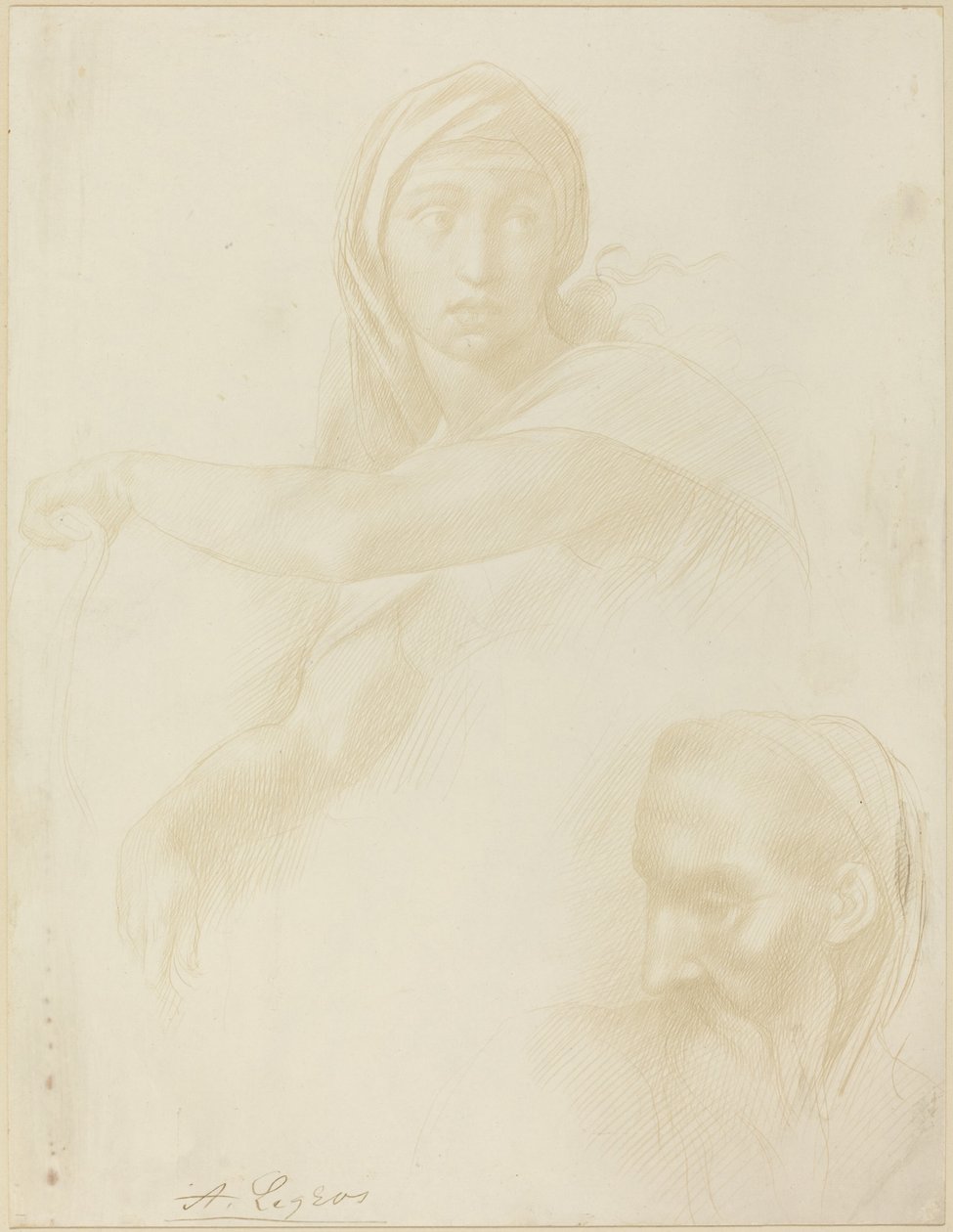Étude de la Sibylle de Delphes; Tête d