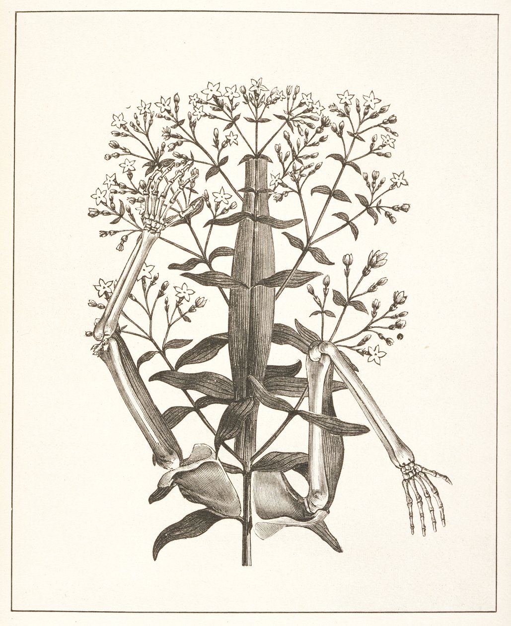 Illustration de 