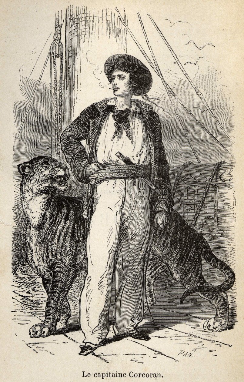 Illustration des « Aventures merveilleuses mais authentiques du capitaine Corcoran » par Alfred Assollant, illustrée de 25 vignettes dessinées sur bois par A. de Neuville, Librairie Hachette et Cie à Paris - Alphonse Marie de Neuville