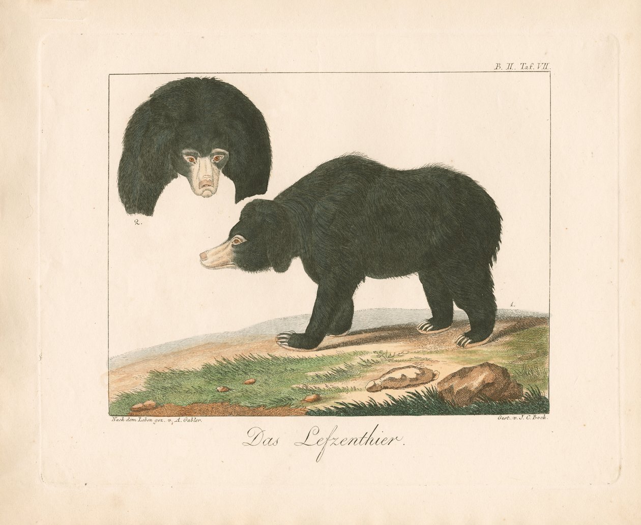  - Ambrosius Gabler