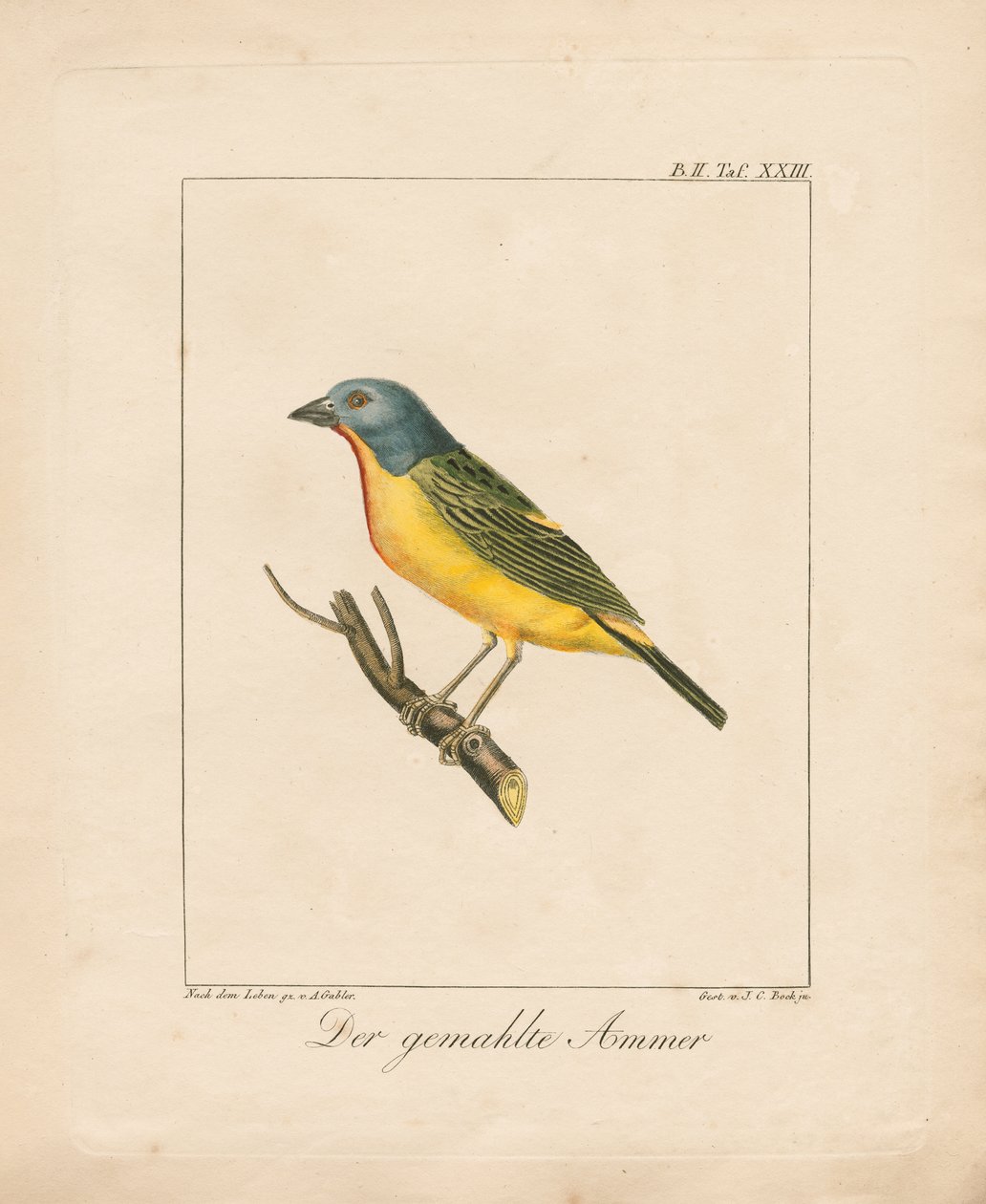  - Ambrosius Gabler