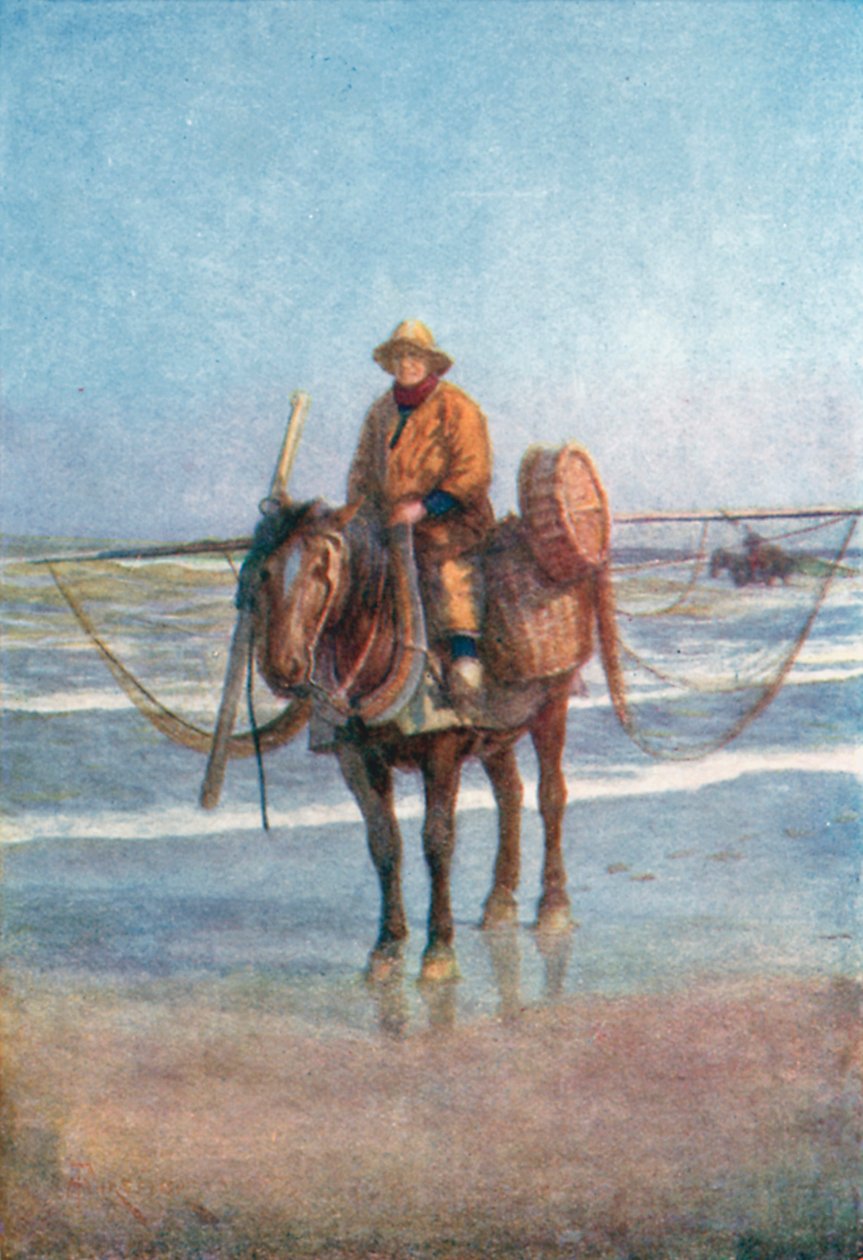 Un pêcheur de crevettes à cheval, Coxyde (lithographie couleur) - Amedee (after) Forestier