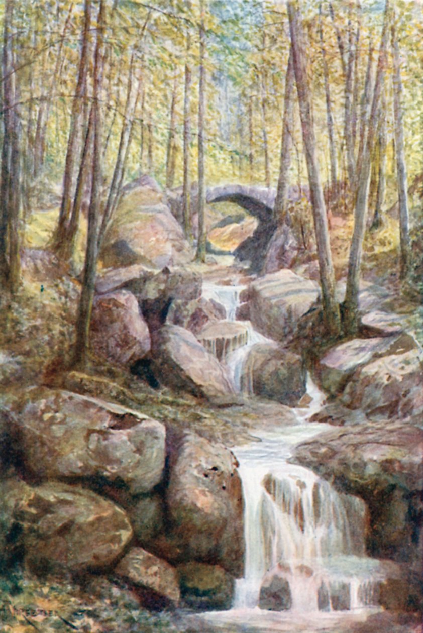 Pont du Prophète, Promenade Meyerbeer, Bois des Thermes (lithographie couleur) - Amedee (after) Forestier