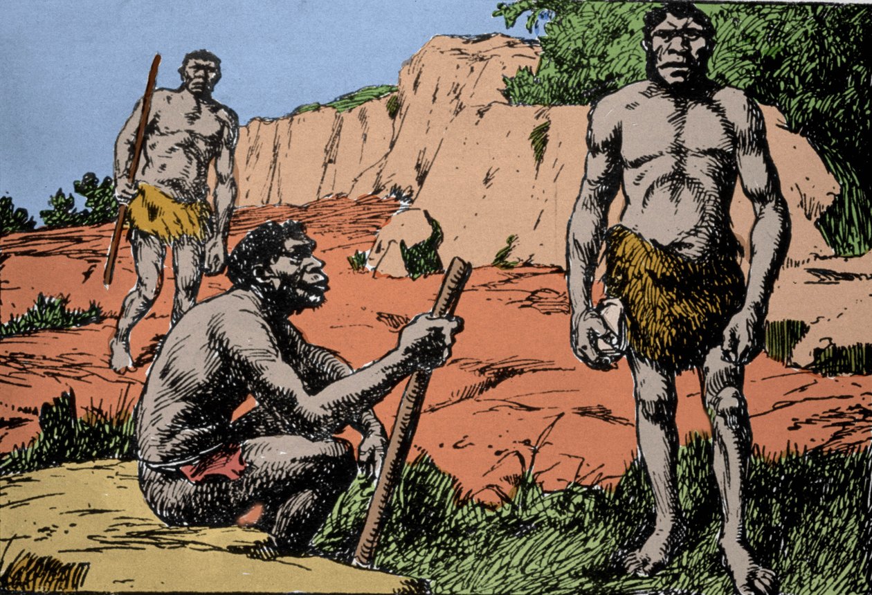Préhistoire : représentation de l