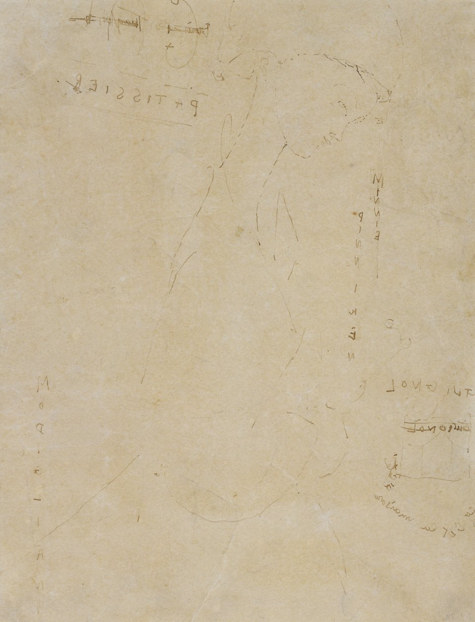Croquis de Minnie Pinniken dans la Pâtisserie - Amedeo Modigliani