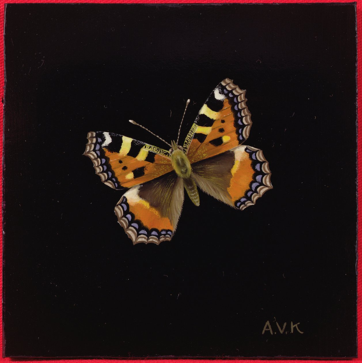 Petite tortue, 1998 - Amelia Kleiser