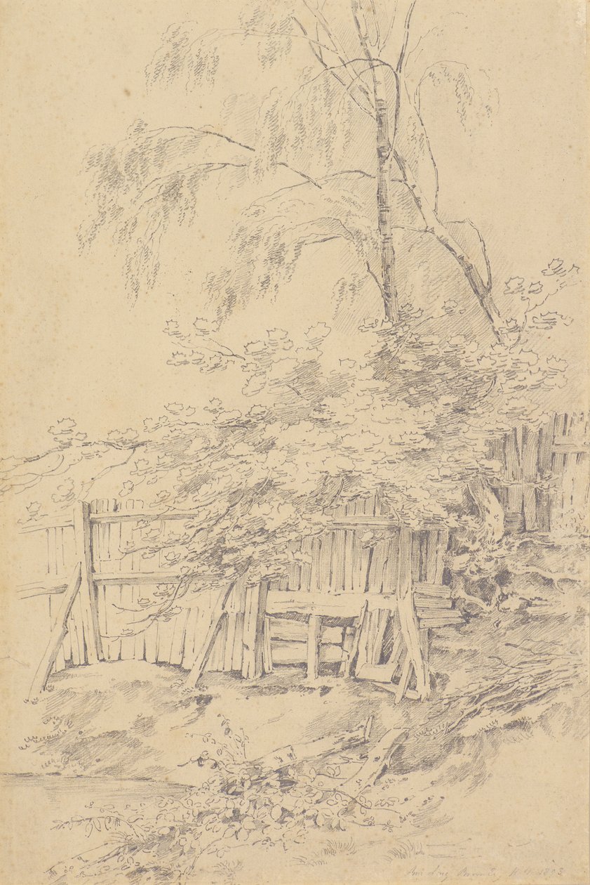 Bromley Hill - Amelia Long