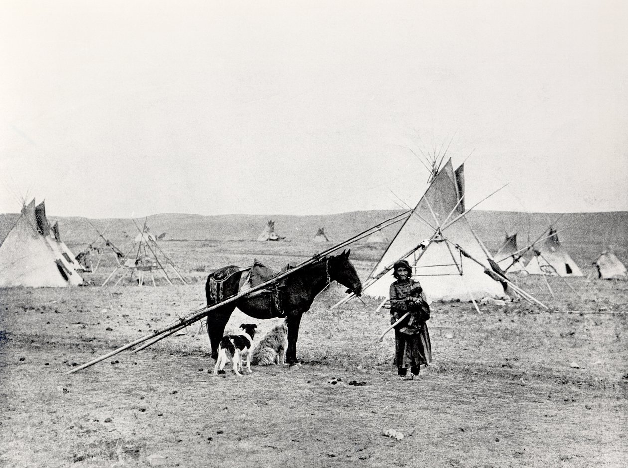 Indien Comanche - American Photographer
