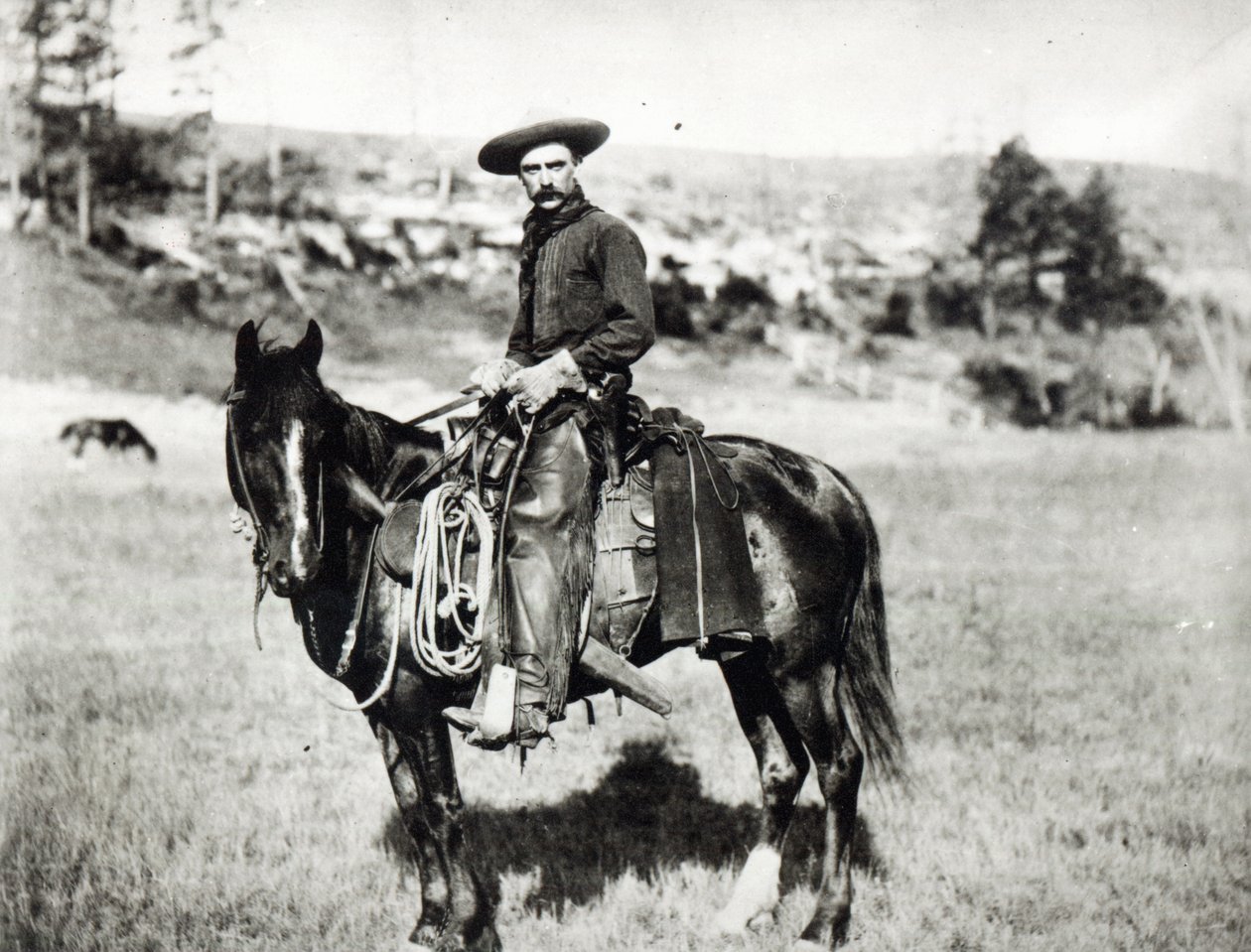 Cow-boy montant un cheval au Montana, USA, vers 1880 - American Photographer