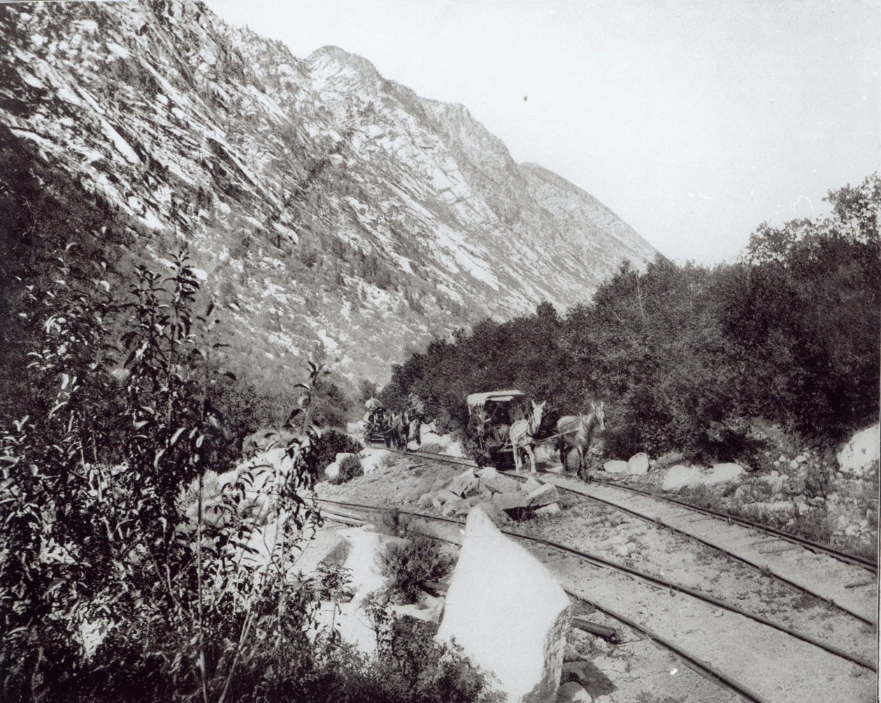 Chemin de fer à mules en Amérique du Nord, fin du XIXe siècle - American Photographer