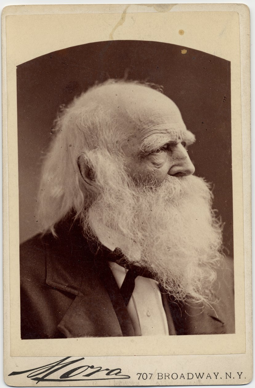 William Cullen Bryant (1794-1878), poète américain, photo par Albert J Mora, New York - American Photographer