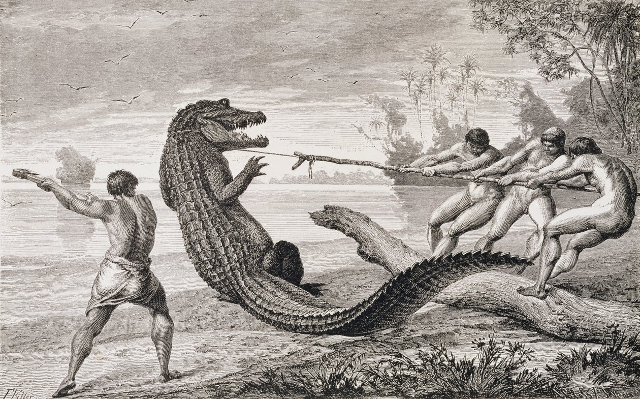 Attraper un alligator au lasso, de 