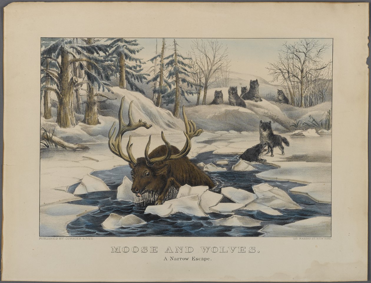 Élan et loups, une évasion étroite, publié par Currier & Ives, New York - American School
