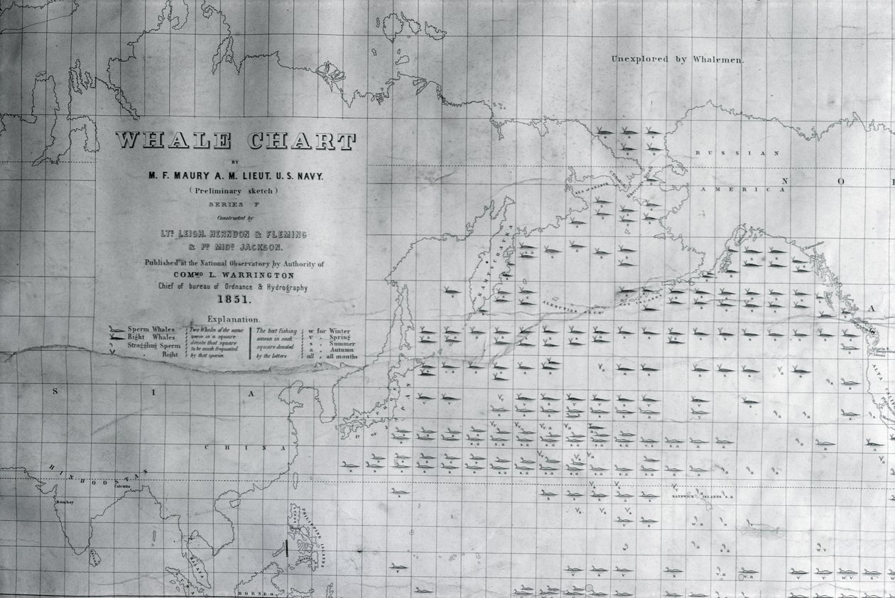 Carte des baleines du Pacifique Nord, 1851 - American School