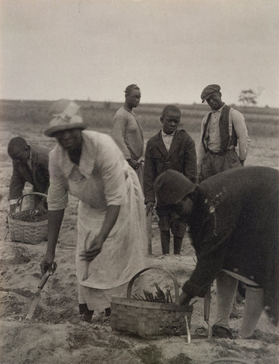 Travail aux Champs - American Photographer