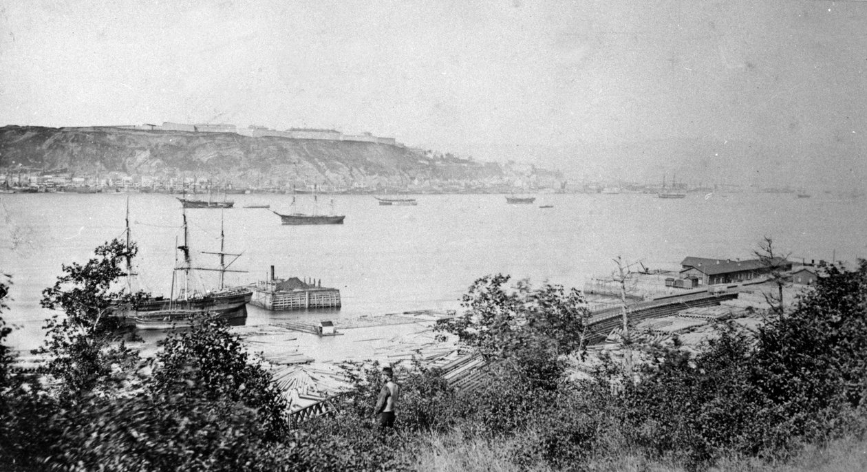 Vue de la ville de Québec à travers le port, vers 1880-95 - American Photographer