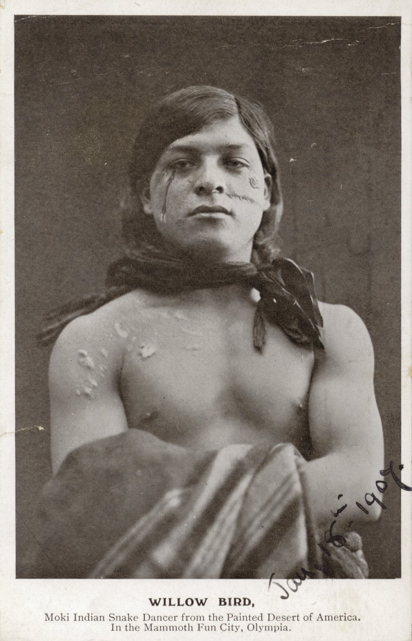 Willow Bird - Danseur de serpent indien Moki du désert peint d