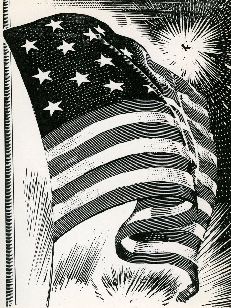 Drapeau américain flottant au-dessus de Fort McHenry - American School