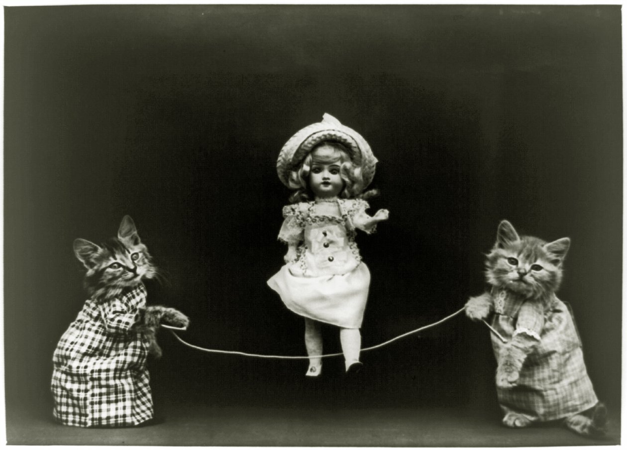 Curiosité féline, 1891 - American School