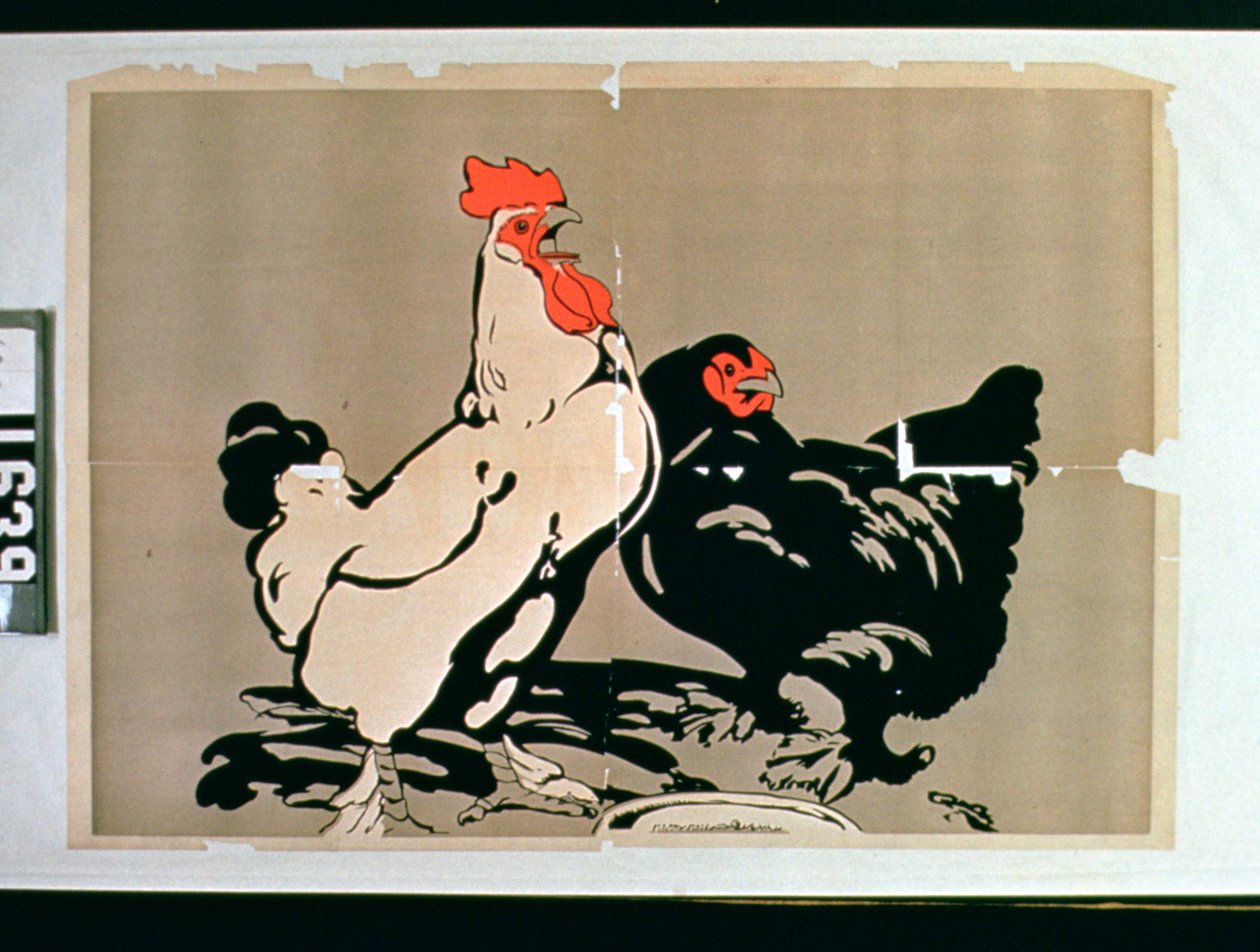 Coq et Poule - American School
