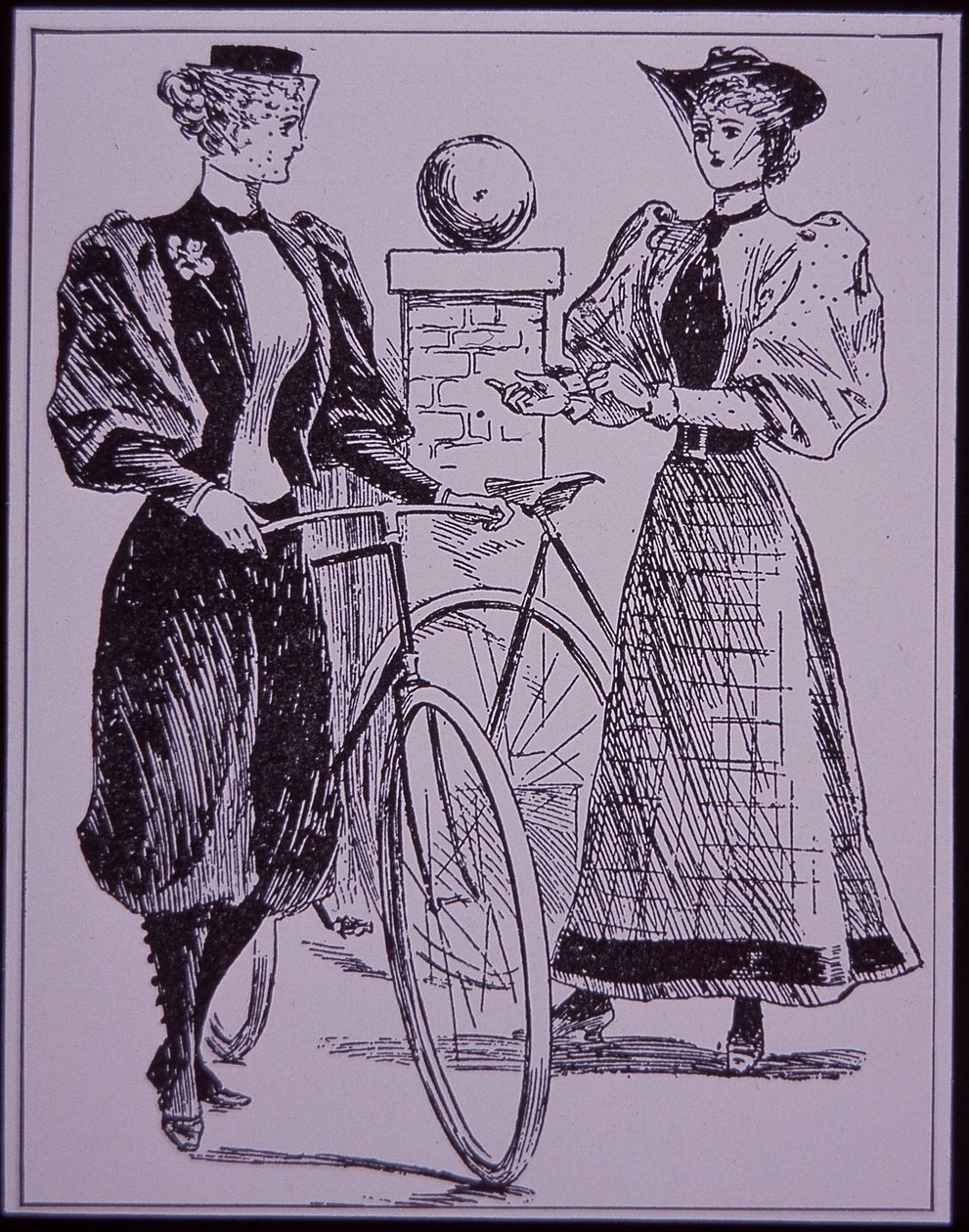 Costume de cyclisme féminin, montrant une fille en culottes, New York, USA - American School