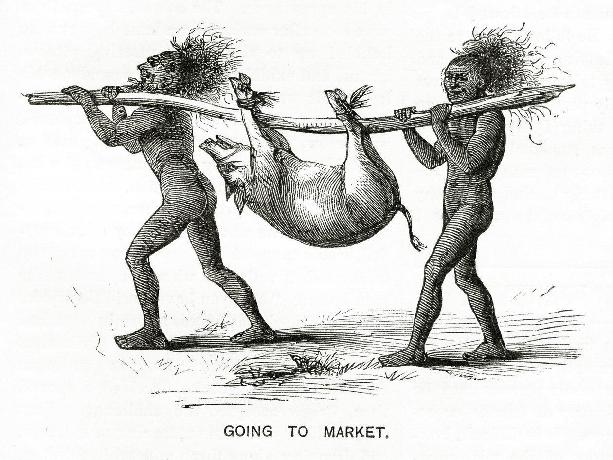 Aller au marché, illustration de Appletons Journal, 4 mai 1872 - American School
