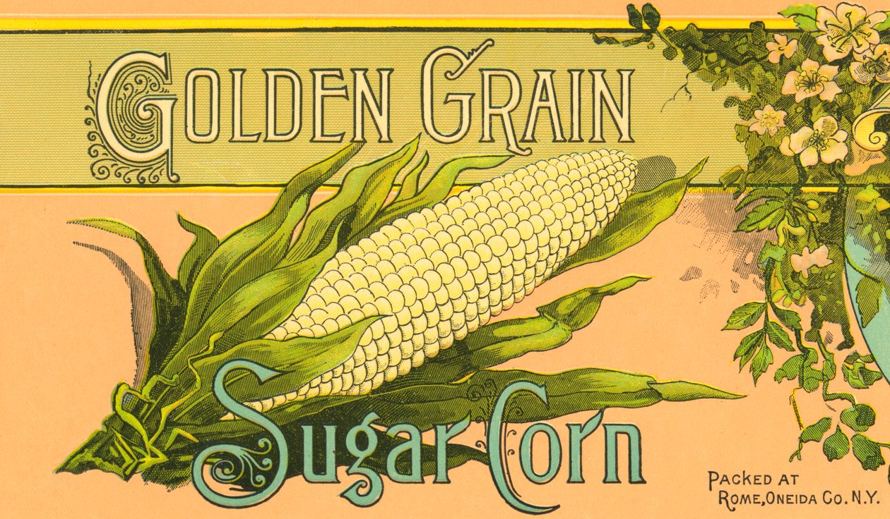 Étiquette de produit de maïs sucré Golden Grain, vers 1890 - American School