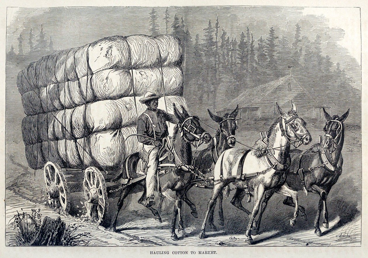 Transport de coton au marché, de Cent ans de progrès des États-Unis, pub. 1871 gravure - American School