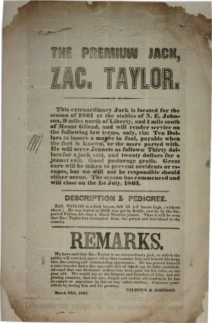 Procédures et adresse de la Convention constitutionnelle, c.19 mars 1861 - American School