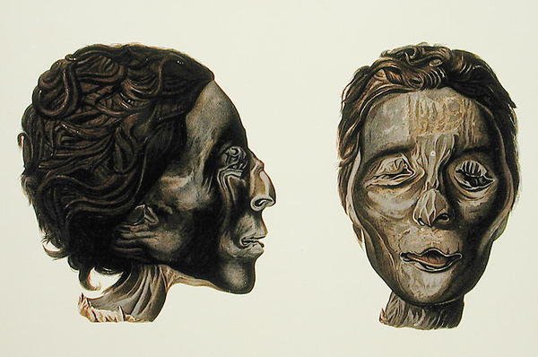 Profil et visage d