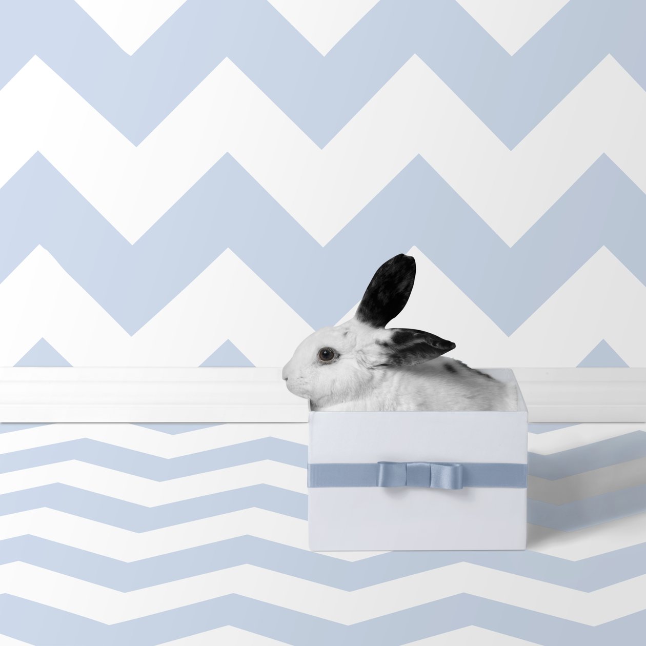 Bunnies 06, 2018 (photography) - Ana Carolina Tavares Mizrahi