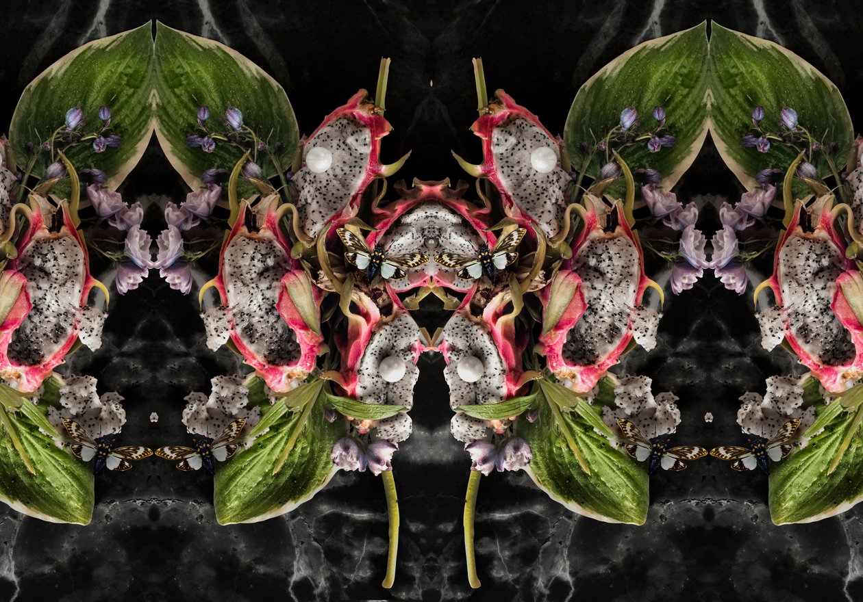 Eve_01, 2016 (Photographie) - Ana Carolina Tavares Mizrahi