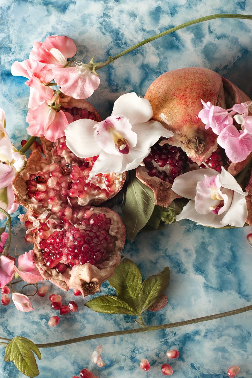 Eve_07, 2016 (Photography) - Ana Carolina Tavares Mizrahi