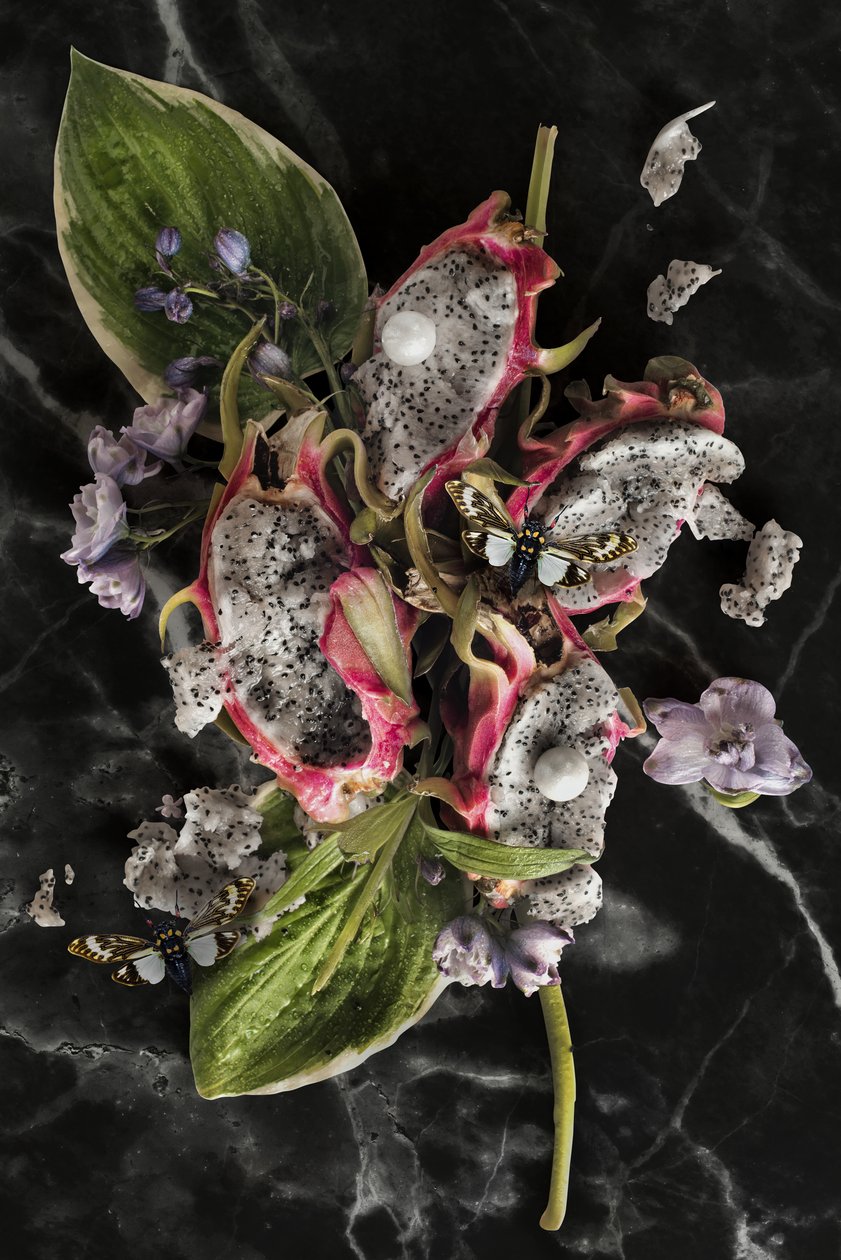 Eve_08, 2016 (Photography) - Ana Carolina Tavares Mizrahi