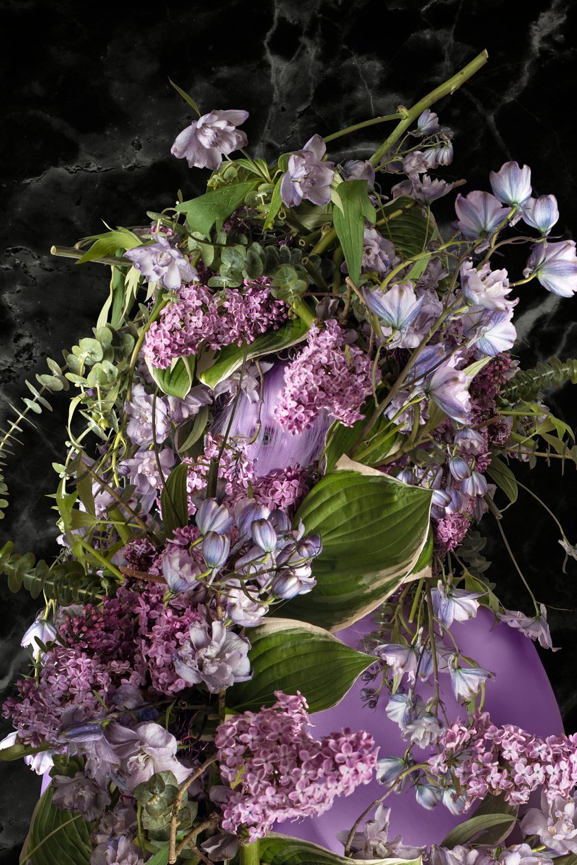 Eve_12, 2016 (Photography) - Ana Carolina Tavares Mizrahi