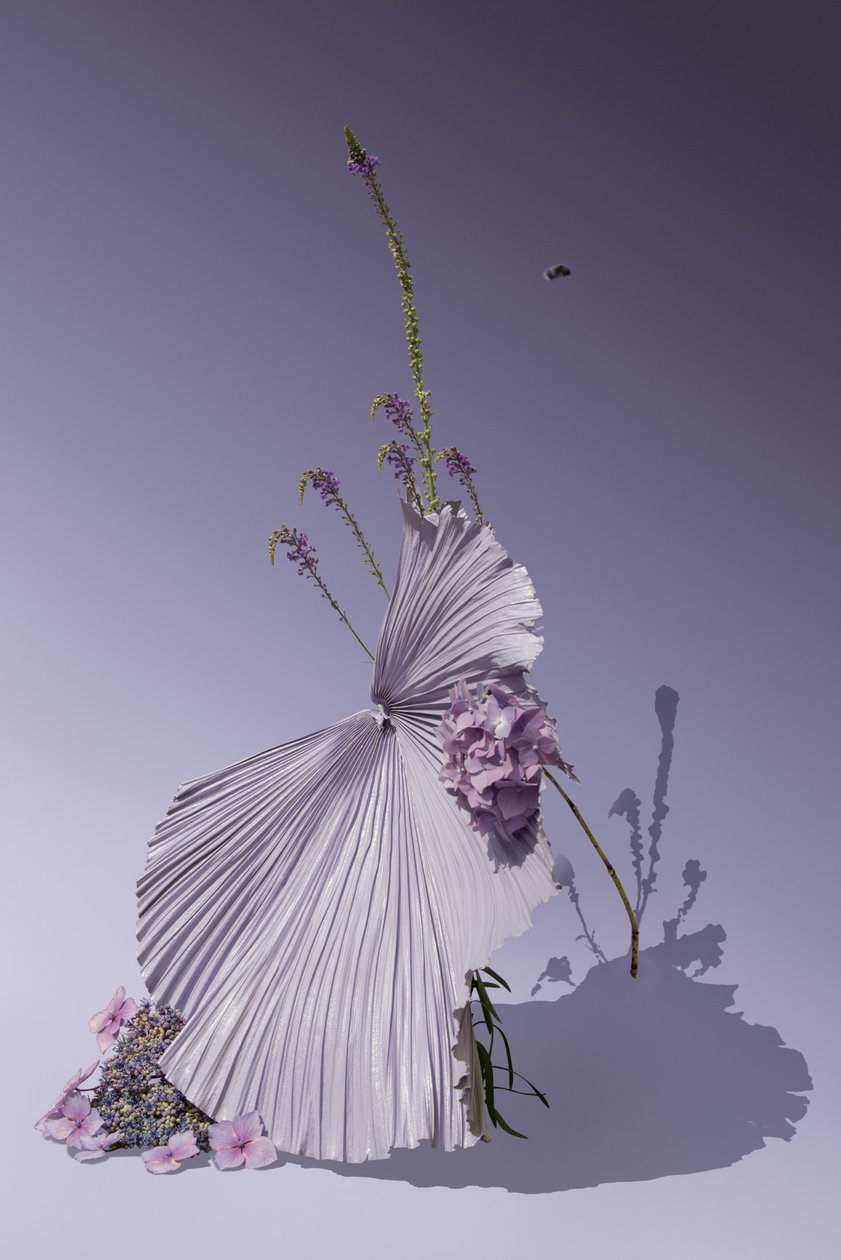 Ikebana 01, 2018 (photographie) - Ana Carolina Tavares Mizrahi