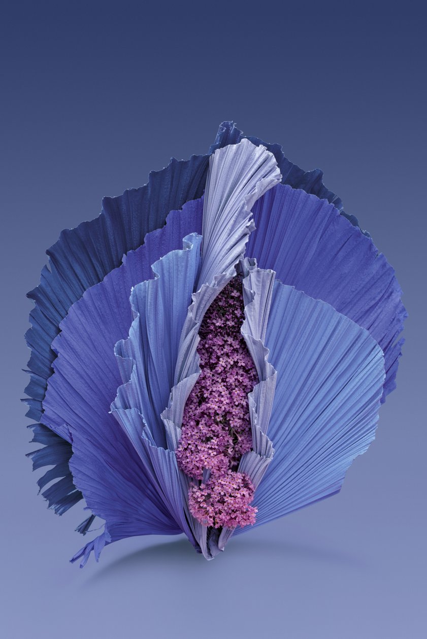 Ikebana 11, 2018 (photographie) - Ana Carolina Tavares Mizrahi