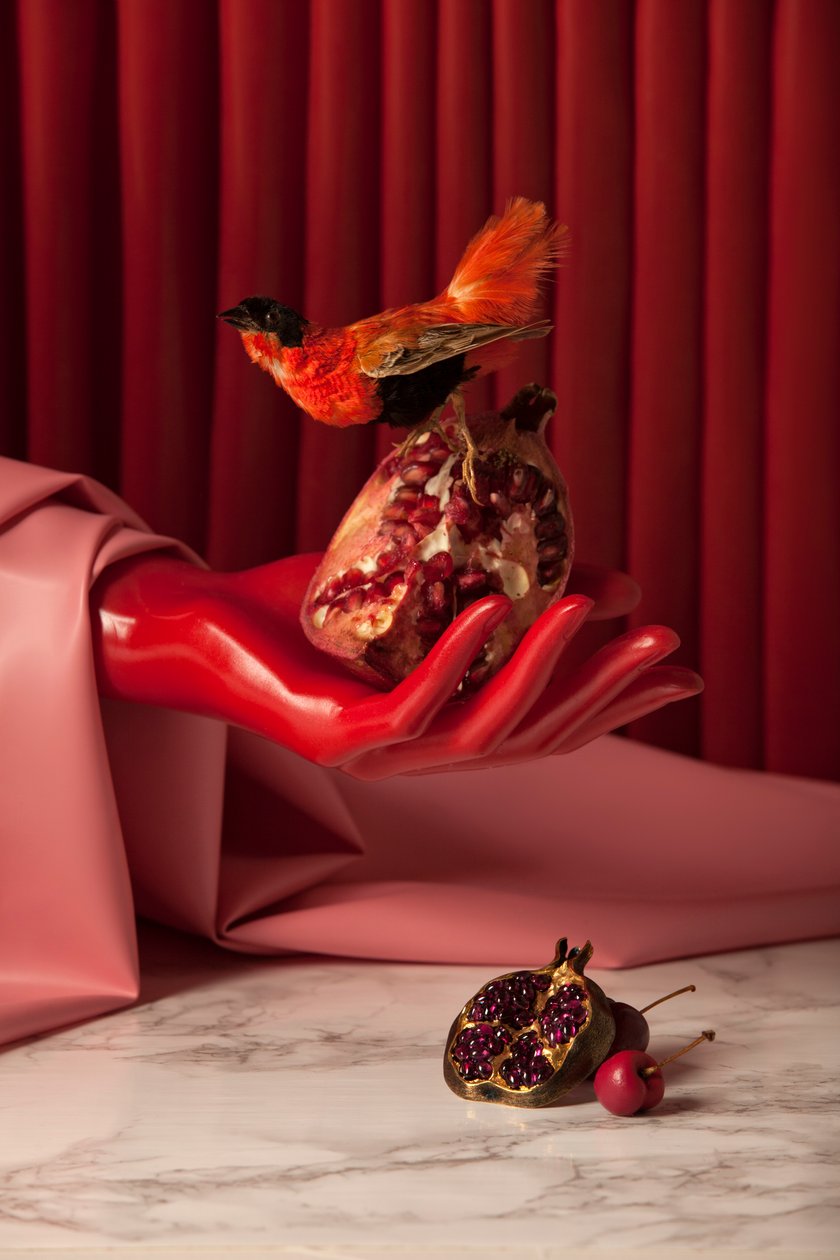 Rubi_07, 2015 (photography) - Ana Carolina Tavares Mizrahi