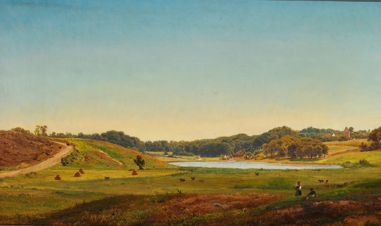 Paysage de récolte danois - Anders Christian Lunde