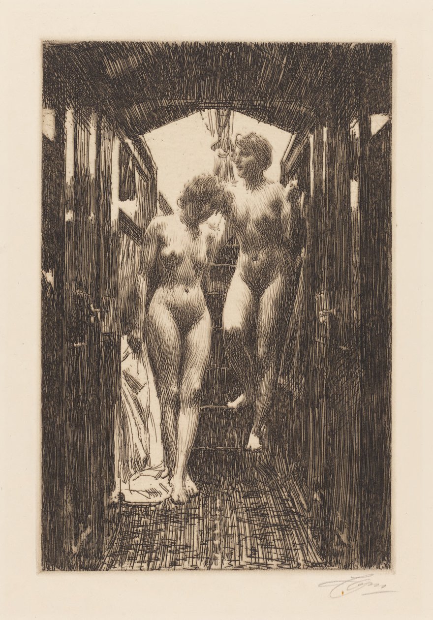 La cabane - Anders Zorn