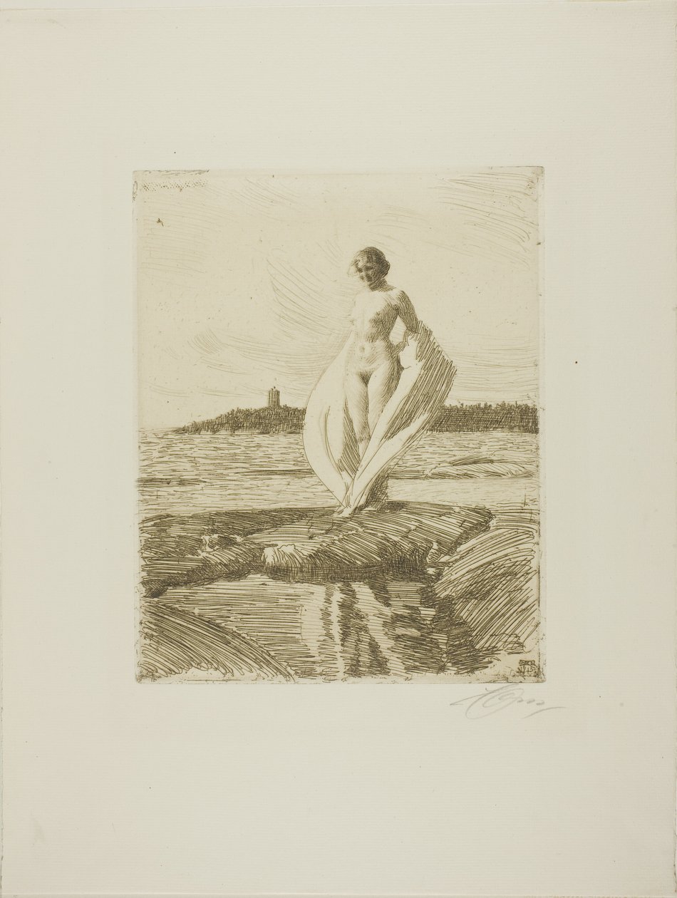 Le Cygne - Anders Leonard Zorn