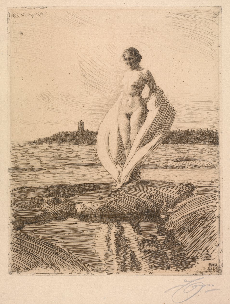 Le cygne - Anders Leonard Zorn
