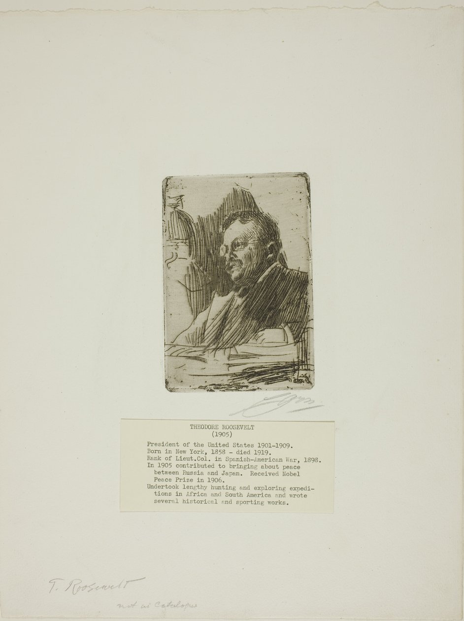 Theodore Roosevelt - Anders Leonard Zorn