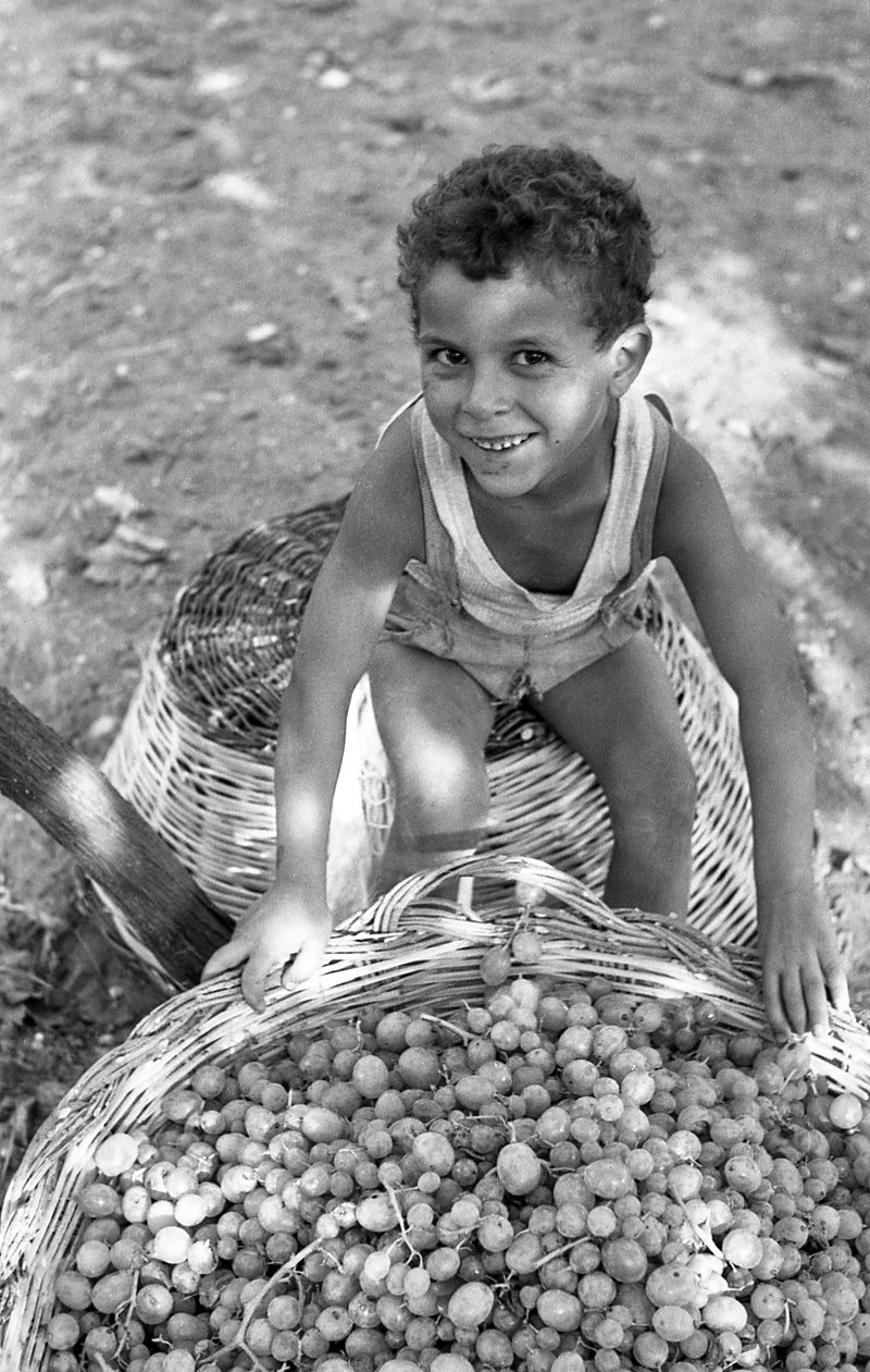 RAISINS AMERS - LE FILS D