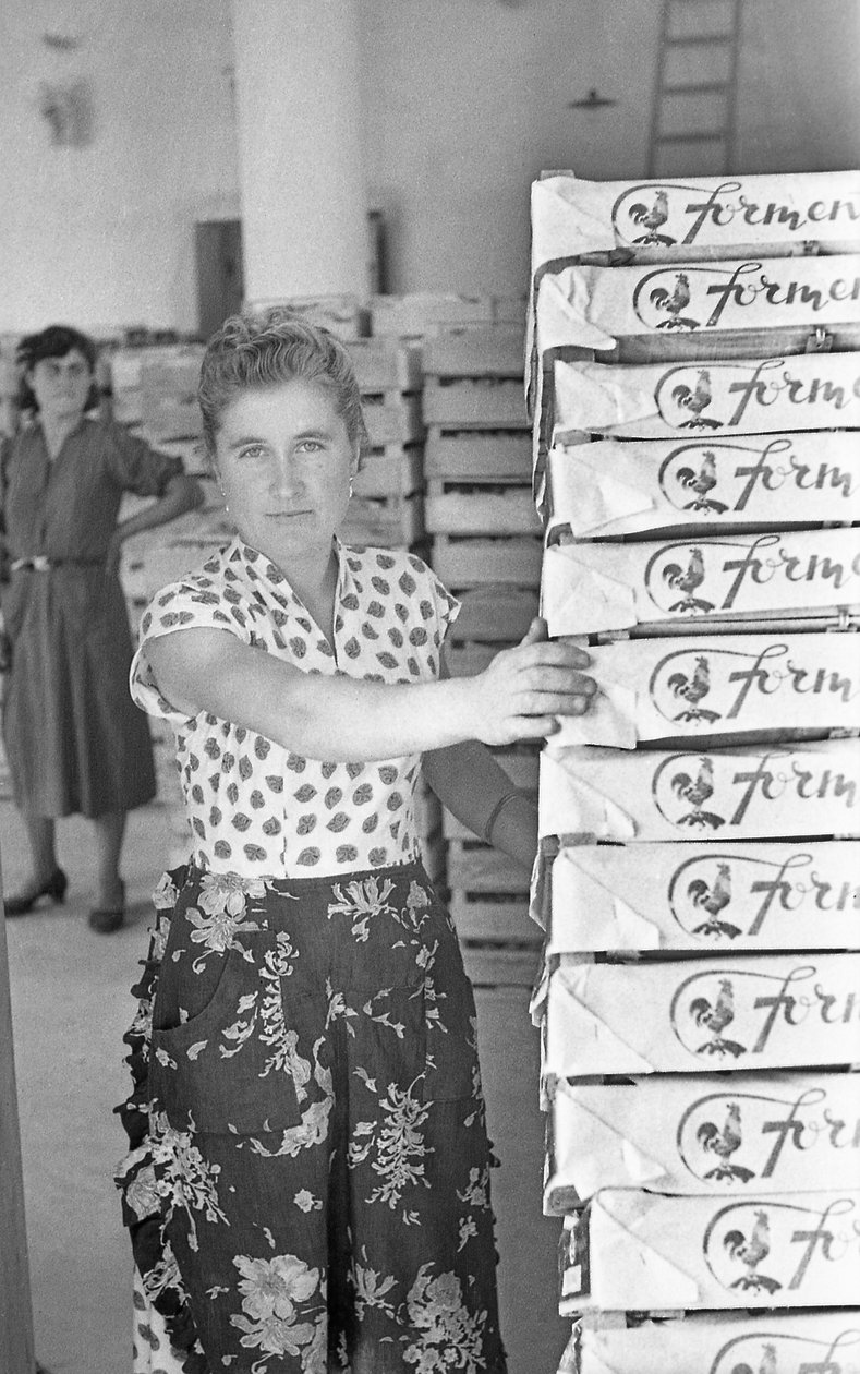 RAISINS AMERS - STOCKAGE EN ENTREPÔT - Ando Gilardi