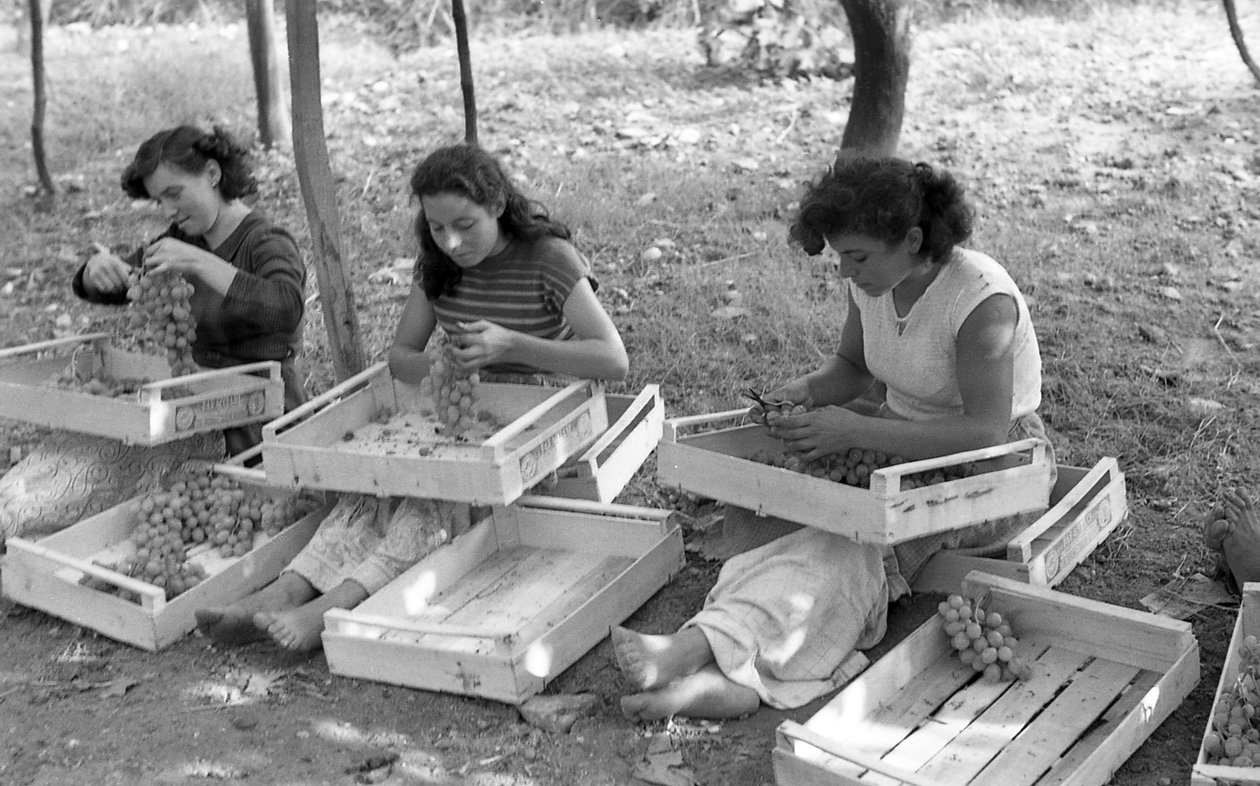 RAISINS AMERS - LES SOUDEURS AU TRAVAIL - Ando Gilardi